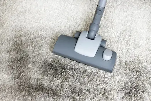 Carpet Cleaning in Balaclava