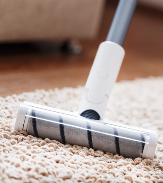 Professional Carpet Cleaning